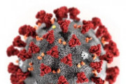 Coronavirus obrázek
